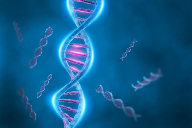 डीएनए (DNA) क्या है? इसका फुल फॉर्म और कैसे काम करता है