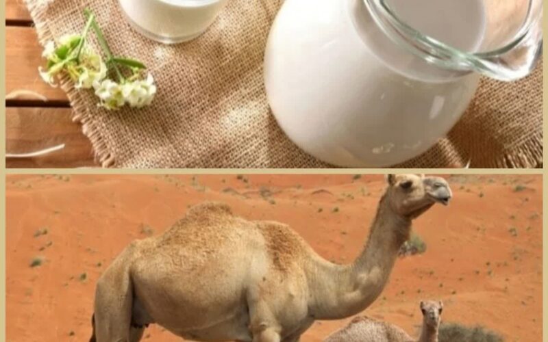 photo_2022-11-15_18-00-24