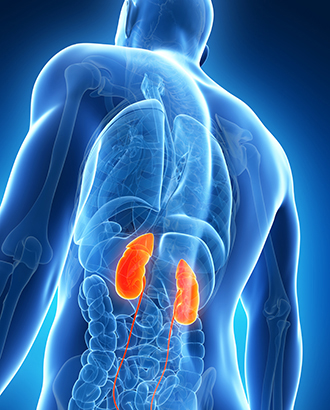 Kidney Function and in Patients Hospitalized