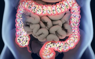 1800ss_thinkstock_rf_gut_microbiome